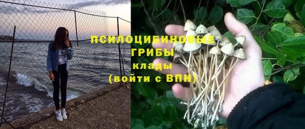 спиды Волосово