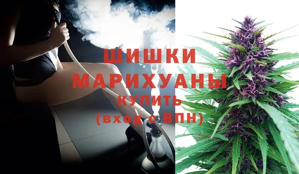 стафф Верхний Тагил