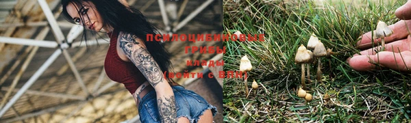 молекула духа Володарск