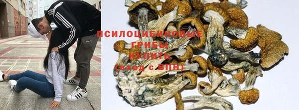 спиды Волосово