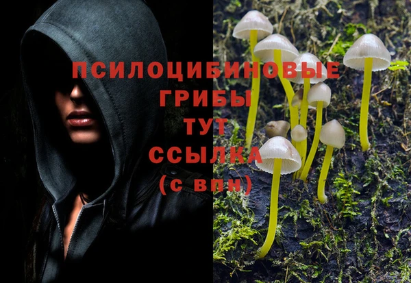 марихуана Волоколамск